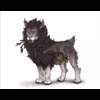 A Fluffy Herbalist (Adol Ferus)